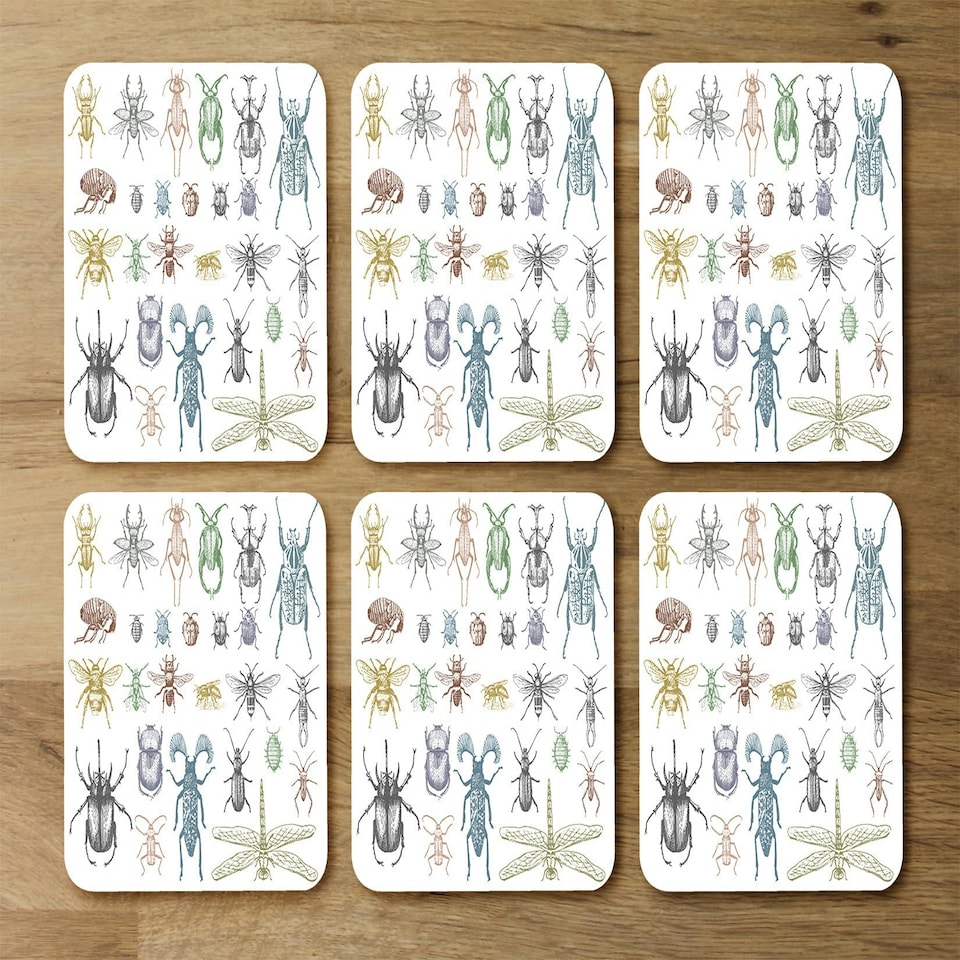 image 1 of big set of insects bugs beetles and bees many species in vintage old hand drawn style (Coaster)