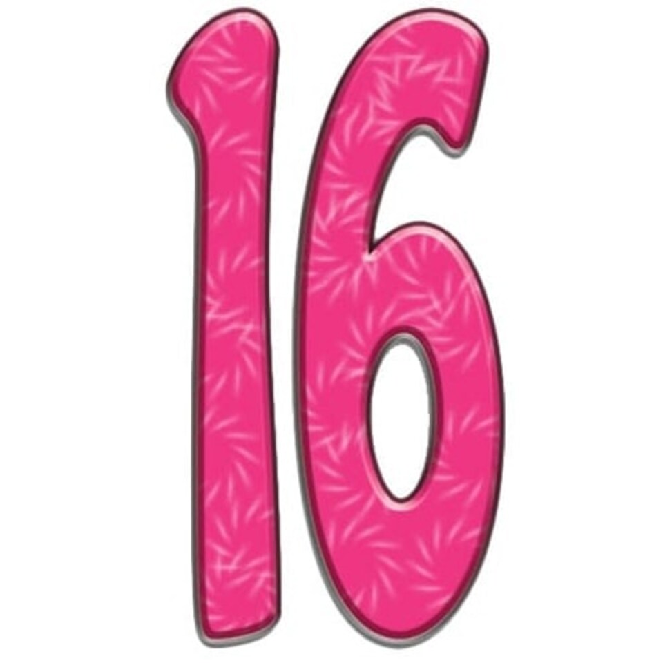 Number 16 Hot Pink Lifesize Cardboard Cutout 173cm