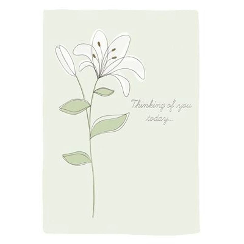 image 1 of Single Lily Stem Thinking Of You Sympathy Card