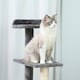 image 8 of PawHut Cat Tree 100cm Indoor Kitten Scratching Post Activity Centre, Grey