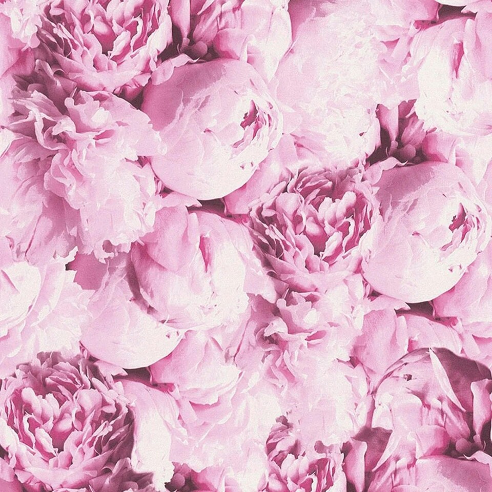 Sample of Romantic Flower Floral Wallpaper in Pink and Purple Multi