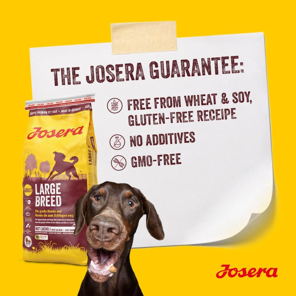 image 1 of Josera Medi/Maxi Adult Chicken & Rice complete dry dog food | Medium & large breeds | Lots of meat | Salmon Omega 3 | Joint care | Gluten-free |  12.5kg