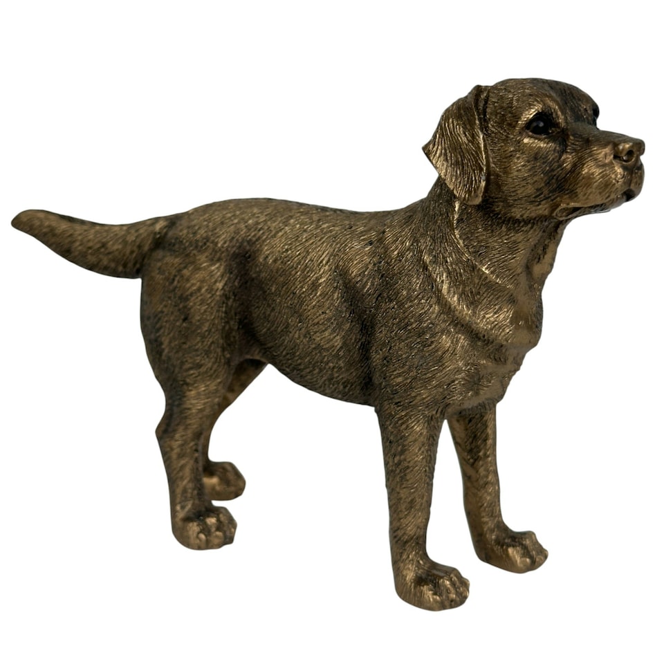 image 1 of Labrador Dog figurine, Leonardo Reflections Bronzed, gift boxed