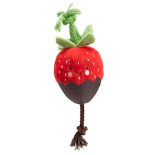 House Of Paws Chocolate Dipped Strawberry Plush Dog Toy - Brown/Red/Green - One Size