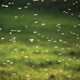 image 2 of Pyramid Trek Midge & Tick Repellent - 60ml