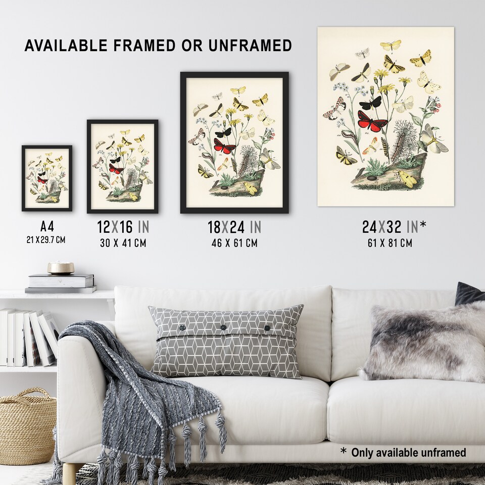 image 1 of Small Butterflies Caterpillars Kirby Vintage Huge Wall Art Print 18X24 In