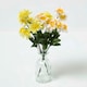 image 1 of Homescapes Set of 2 Yellow and White Daffodil Spray Single Stems