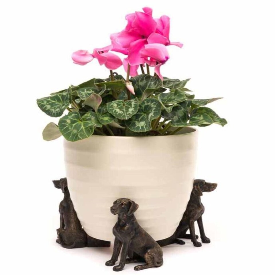 image 1 of Weimaraner Plant Pot Feet - Set of 3 Bronze