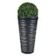 Black & Set of 1