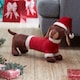 image 2 of 55cm Red and White Plush Donovan Dachshund Christmas Decoration