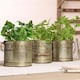 image 1 of Set of 3 Kitchen Herb Planters Grey