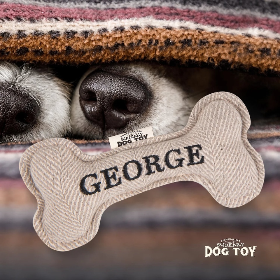 image 1 of History & Heraldry Pre-Personalised Squeaky Bone Dog Toy - George