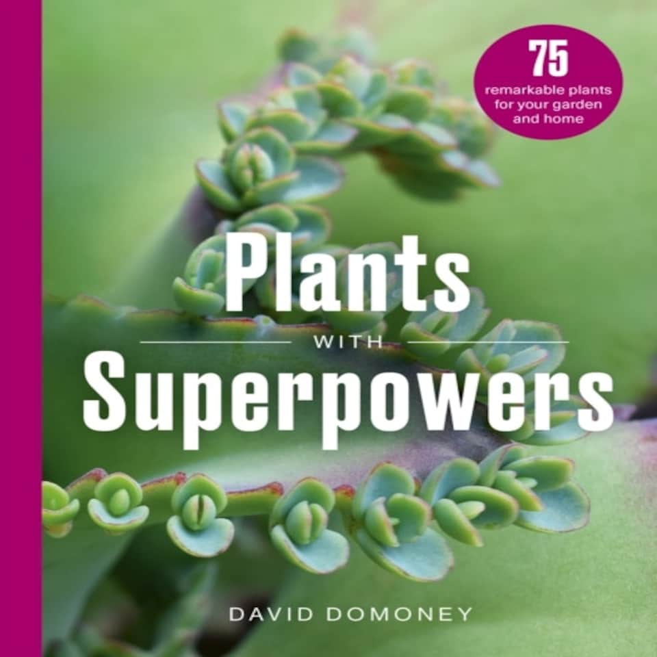 75 Plants With Superpowers