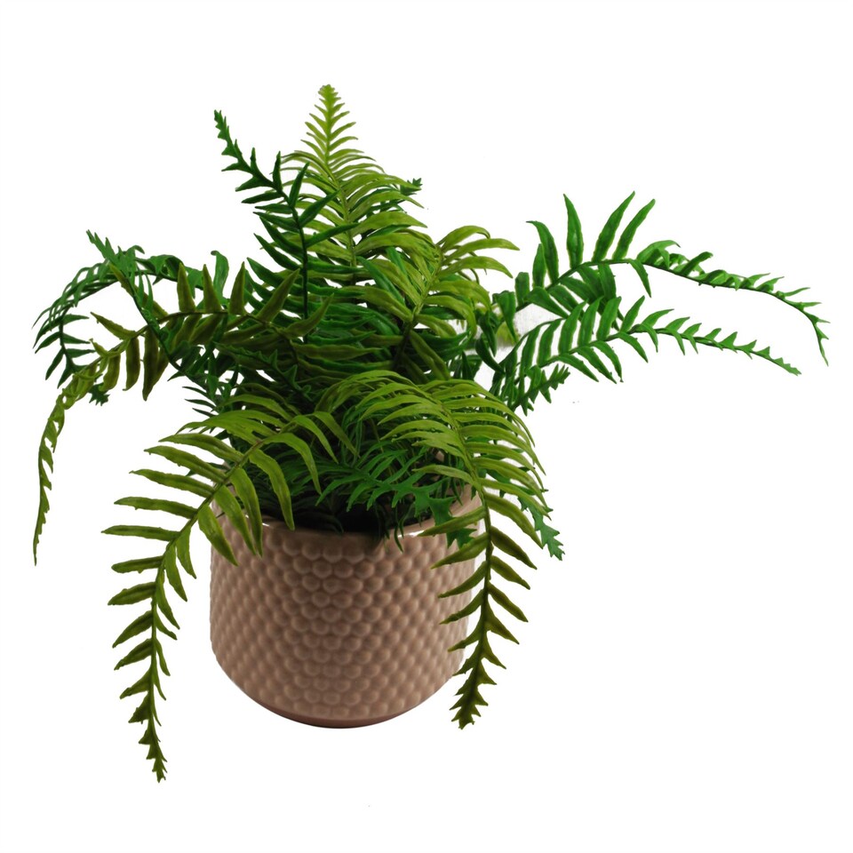 image 1 of Dusty Pink Raised Dots Ceramic Plant Pot 15 x 15 x 12.5cm | Pink