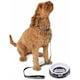 image 2 of Star Wars Dog Collar Set - Black - M