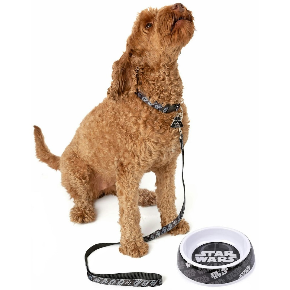 image 1 of Star Wars Dog Collar Set - Black - M