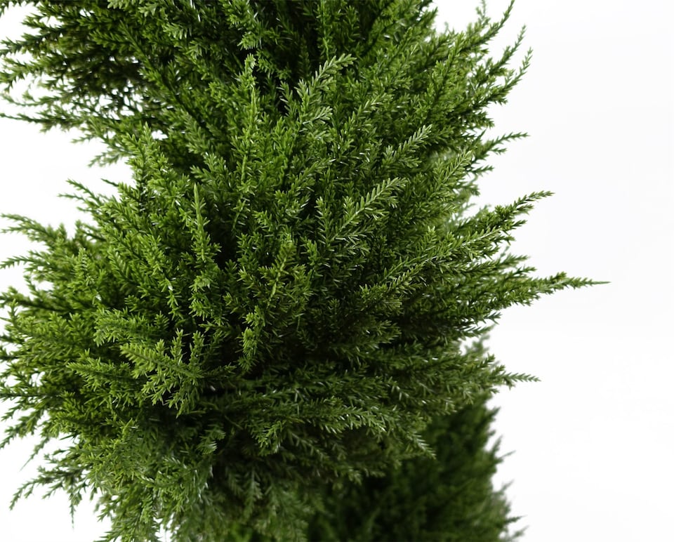 image 1 of Outdoor Artificial Topiary Tree 120cm Sprial Cypress UV Resistant Botanik | Green | One Size