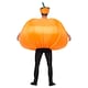 image 4 of Inflatable Pumpkin Fancy Dress Halloween Costume Unisex Adult One Size