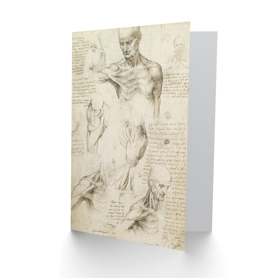 image 1 of Da Vinci Superficial Anatomy Shoulder Neck Art Card
