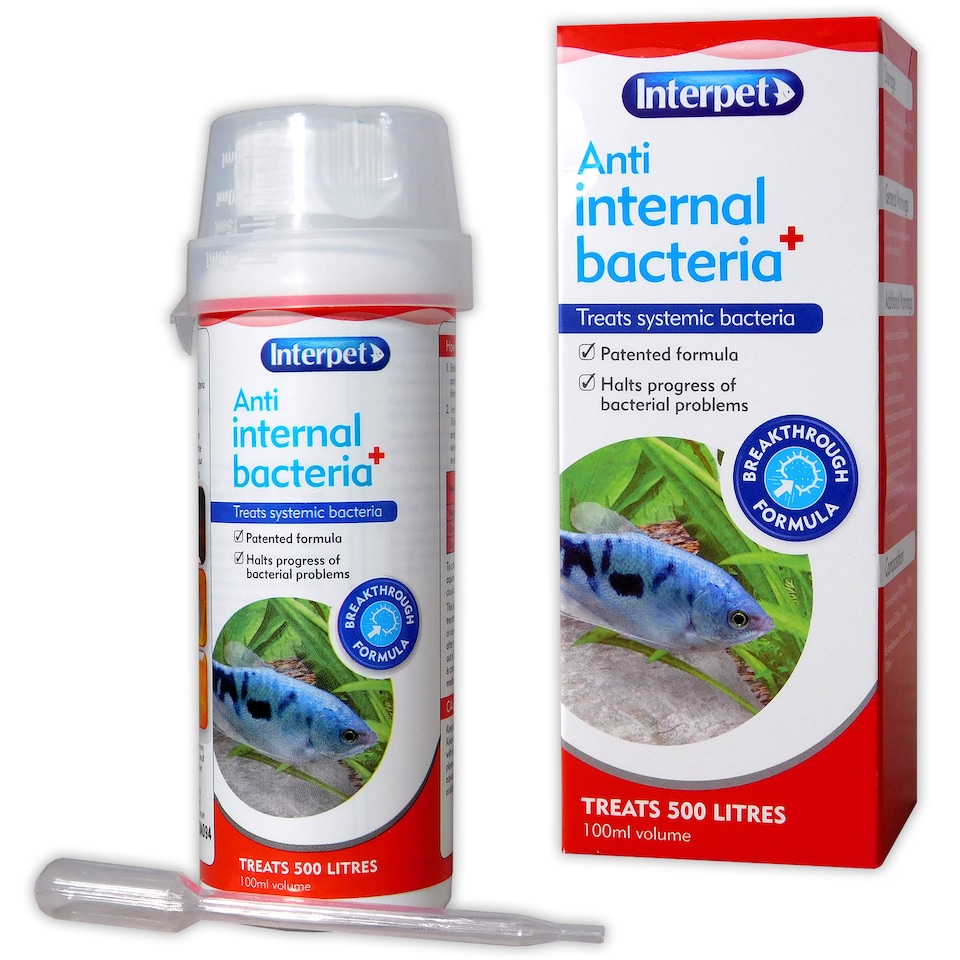 image 1 of Interpet Anti Internal Bacteria Treatment 100ml