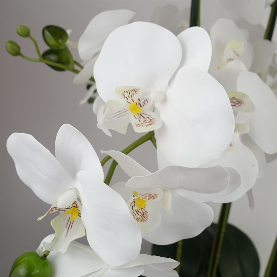 image 1 of 50cm Artificial Orchid with Glass Planter - White