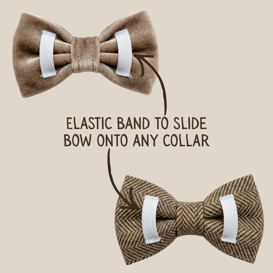 image 1 of Tails of Glory Brown Tweed and Velvet Bow Set