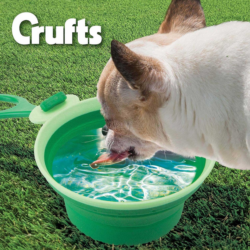 image 1 of PMS Crufts Collapsible Silicone Pet Travel Bowl - Portable Water & Food Dish