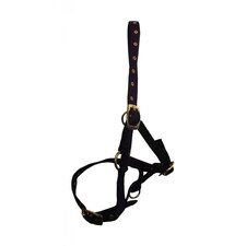Hy Foal Head Collar | Black | Black | One Size | 1