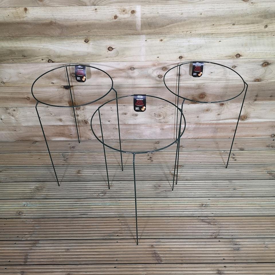 image 1 of Pack of 3 Tom Chambers Urban Metal Herbaceous Garden Plant Support Ring Large 40cm x 60cm