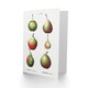 image 2 of Pierre-Joseph Redouté Art Card Pear Fruit Varieties Vintage
