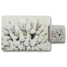 Beautifully White (Placemat & Coaster Set)