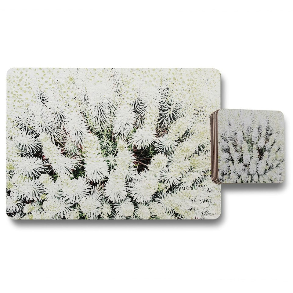 Beautifully White (Placemat & Coaster Set)