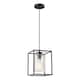 image 1 of BHS Hardy Cage Ceiling Pendant with Bubble Glass Shade | Black | Matte Black | 1