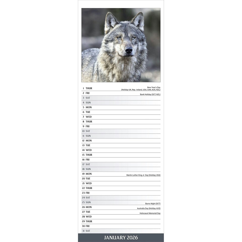 image 1 of Wolves Slim 2026 Calendar | Slimline Wall Calendar | Animal Gift | Plastic Free Packaging | by Avonside Publishing [Calendar] Avonside Publishing Ltd
