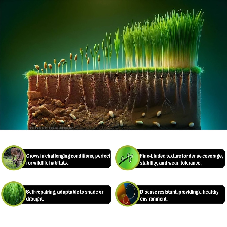 image 1 of Pegdev Wildlife Grass Seed Versatile Resilient Blend for Lush Gardens 1.5kg