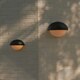 image 6 of Scorpius | Wall light | Black Black | Black