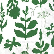 IHR Elokuun Vorjot Green Cocktail Napkin 25cm 3ply 20 Pack