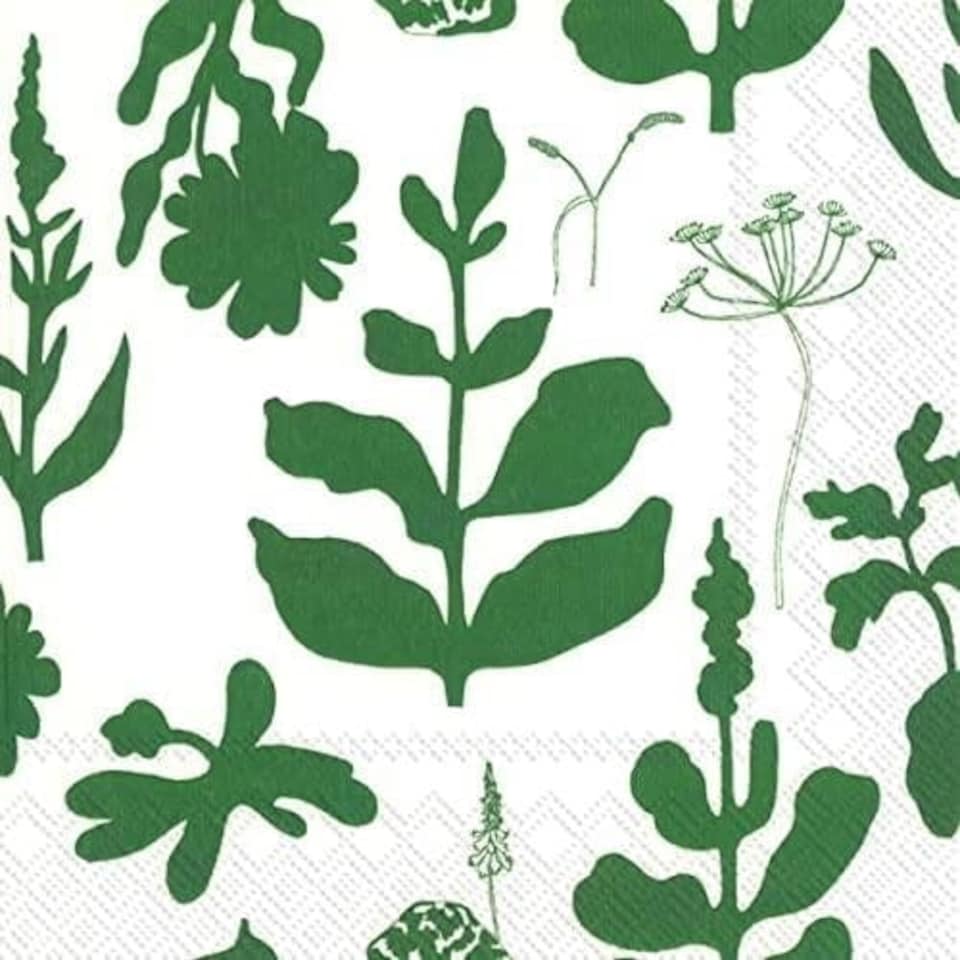 IHR Elokuun Vorjot Green Cocktail Napkin 25cm 3ply 20 Pack