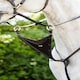 image 10 of LeMieux Bib Martingale Attachment Brown | One Size