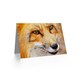 image 2 of Animal Lover Fox Face Close Up Photograph Birthday Card