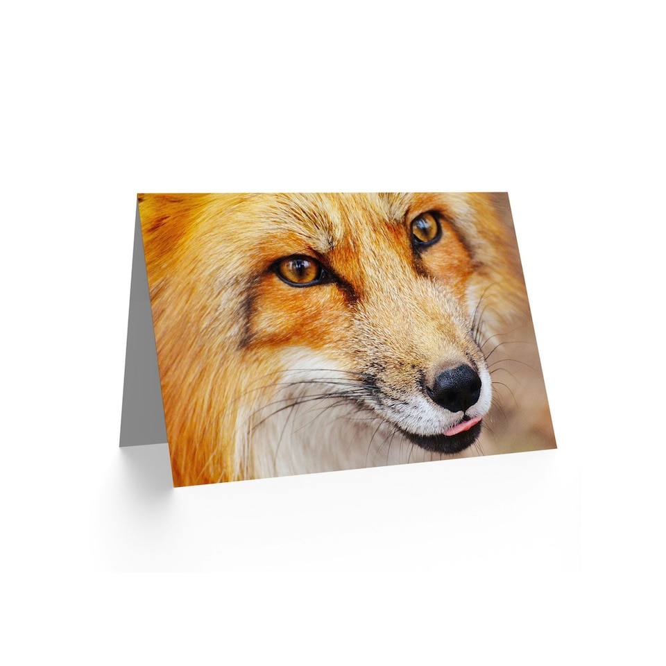 image 1 of Animal Lover Fox Face Close Up Photograph Birthday Card