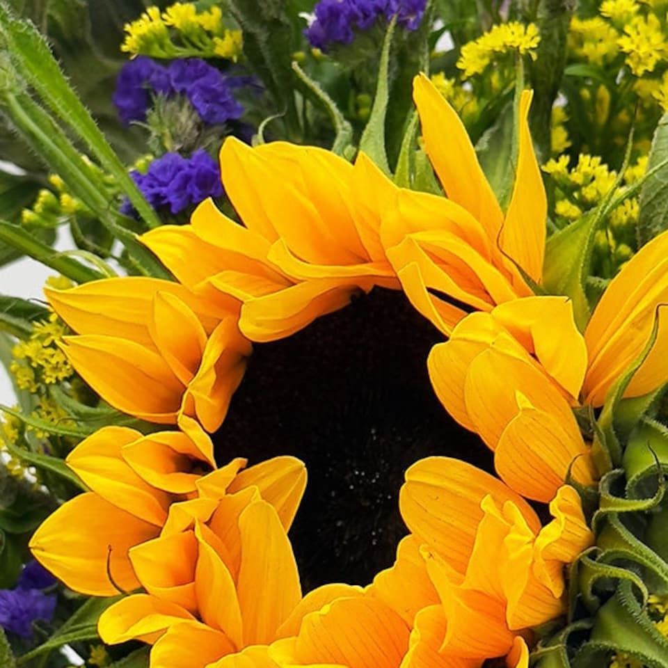image 1 of Sunflower Bliss Bouquet