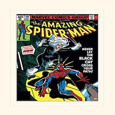 LX - SPIDERMAN - BLACK CAT - POSTER / PRINTS