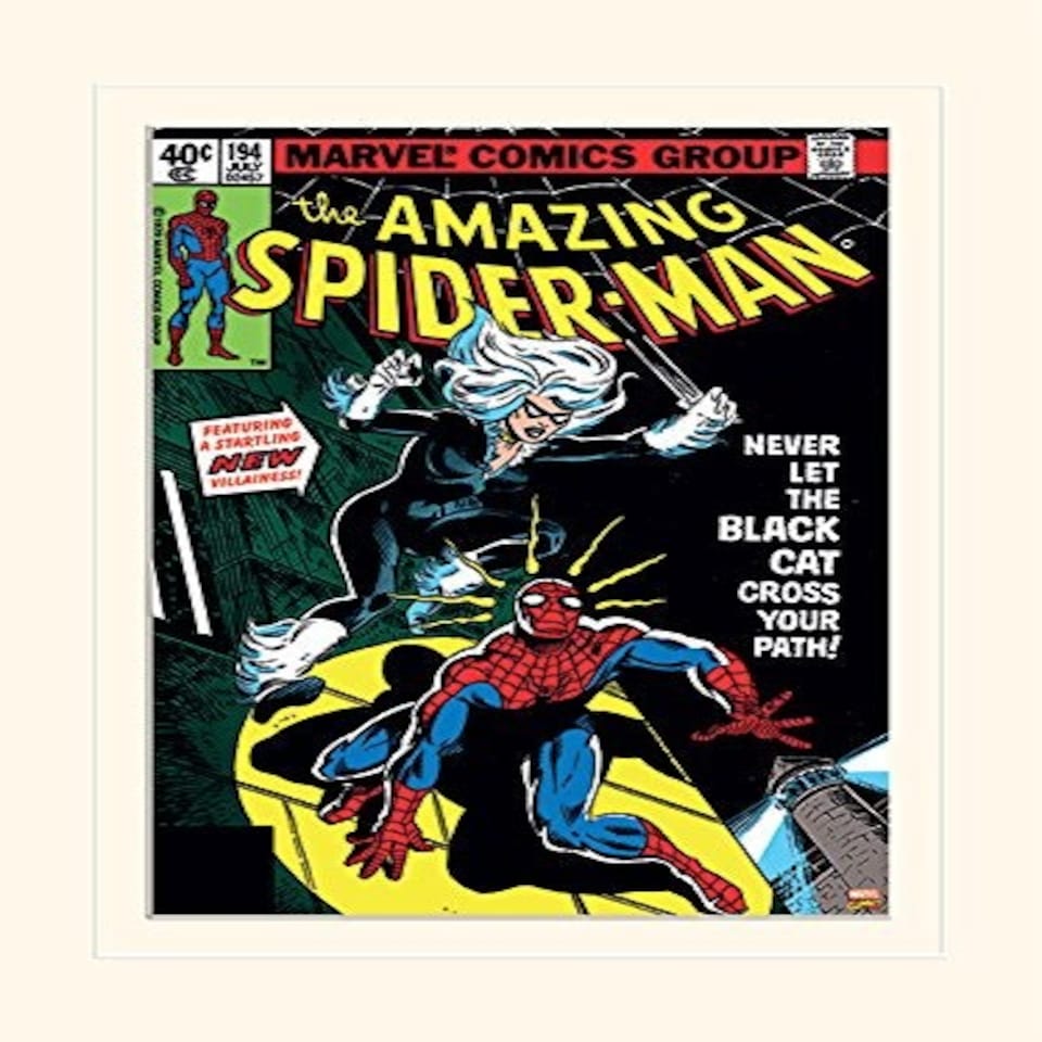 LX - SPIDERMAN - BLACK CAT - POSTER / PRINTS