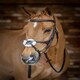 image 7 of LeMieux Grackle Bridle Black | X-Full