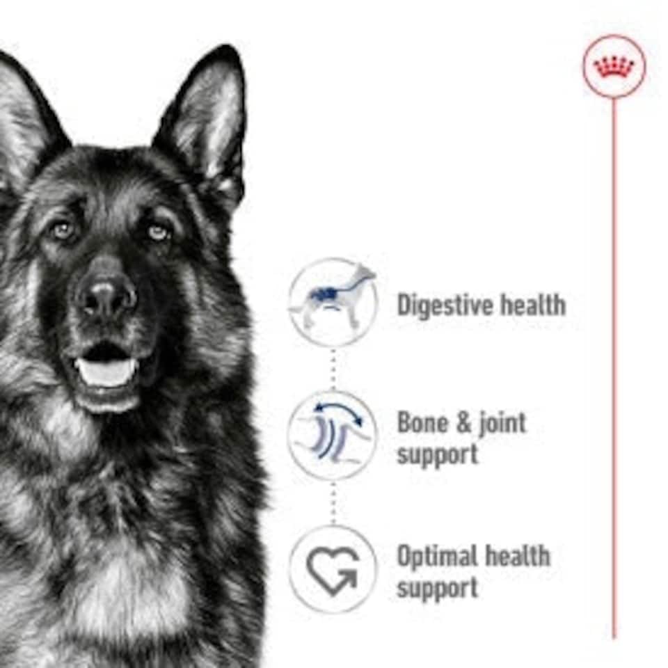image 1 of Royal Canin Maxi Dry Adult Dog Food 3kg