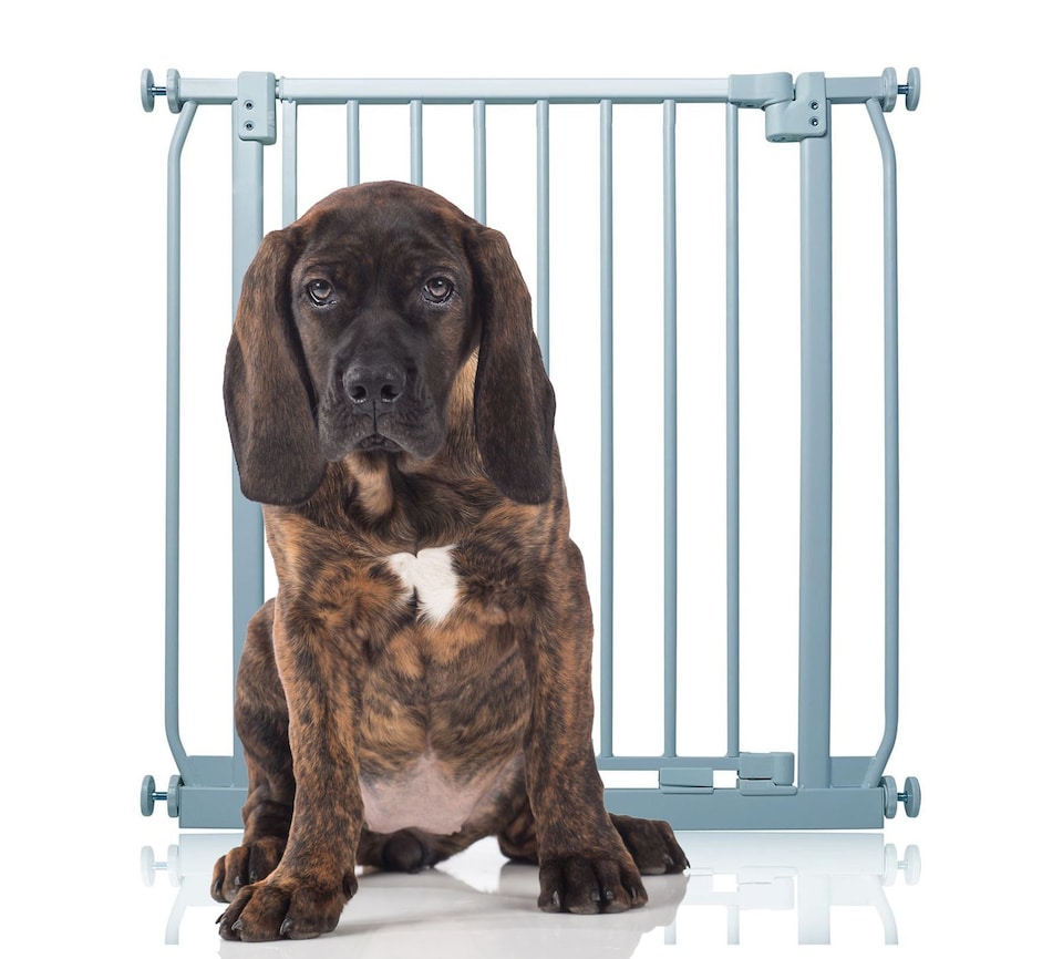 image 1 of Bettacare Elite Pressure Dog Gate, 71cm - 80cm, Matt Grey, Pressure Fit Pet Gate for Dog and Puppy