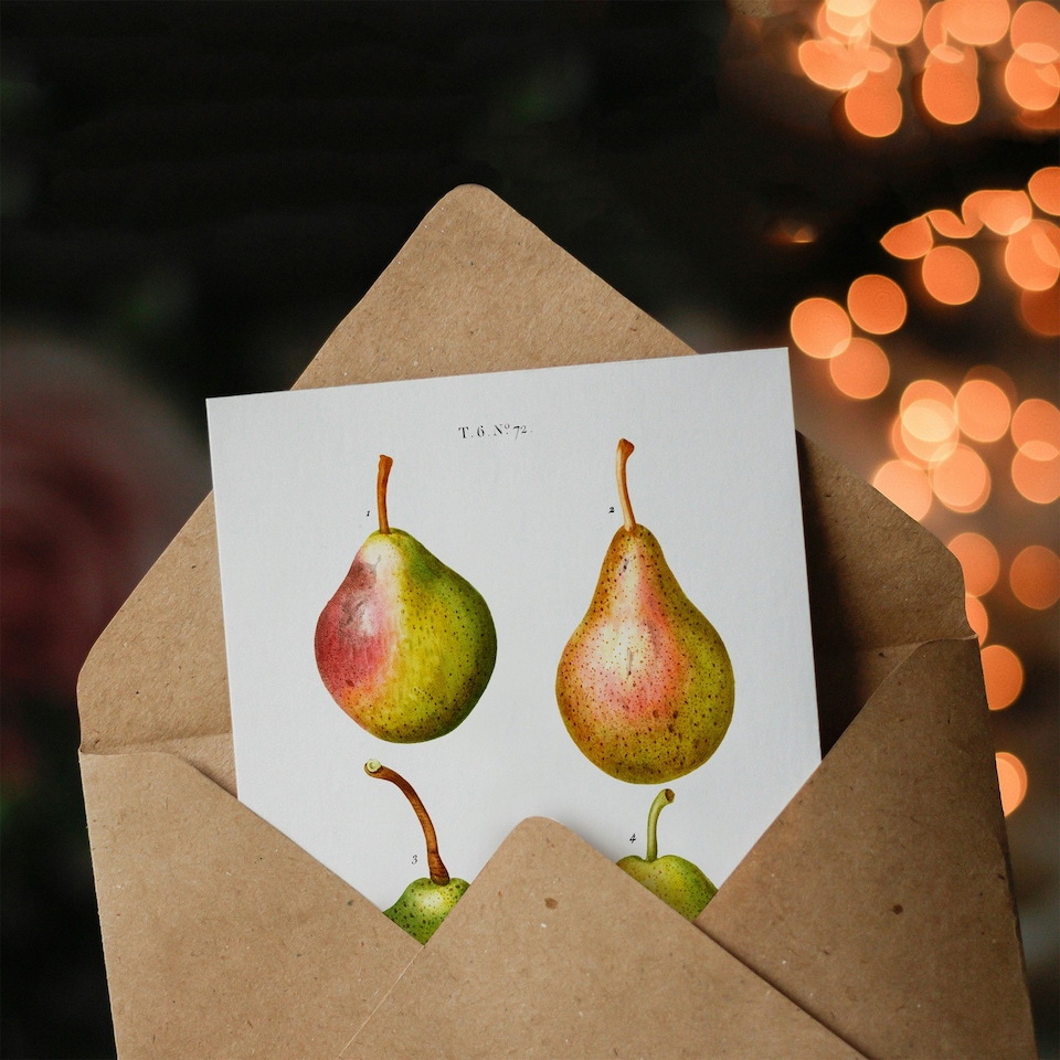 image 1 of Pierre-Joseph Redouté Art Card Pear Fruit Vintage Illustration