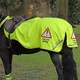 image 1 of Shires Equi-Flector® Waterproof Exercise Sheet Orange | Size: 4ft 9
Colour: Orange