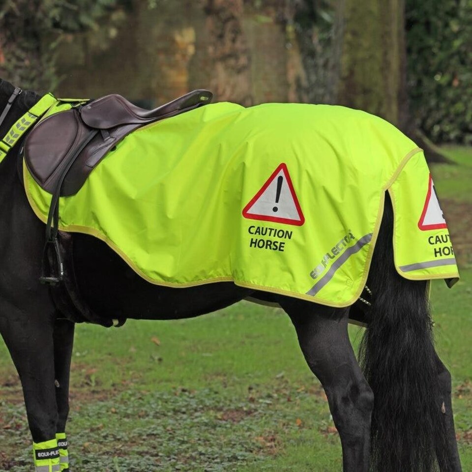 image 1 of Shires Equi-Flector® Waterproof Exercise Sheet Orange | Size: 4ft 9
Colour: Orange